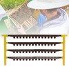 Beekeeping Queen Cell Cup Holder Frame Bar Multifunctional Beekeeping Base