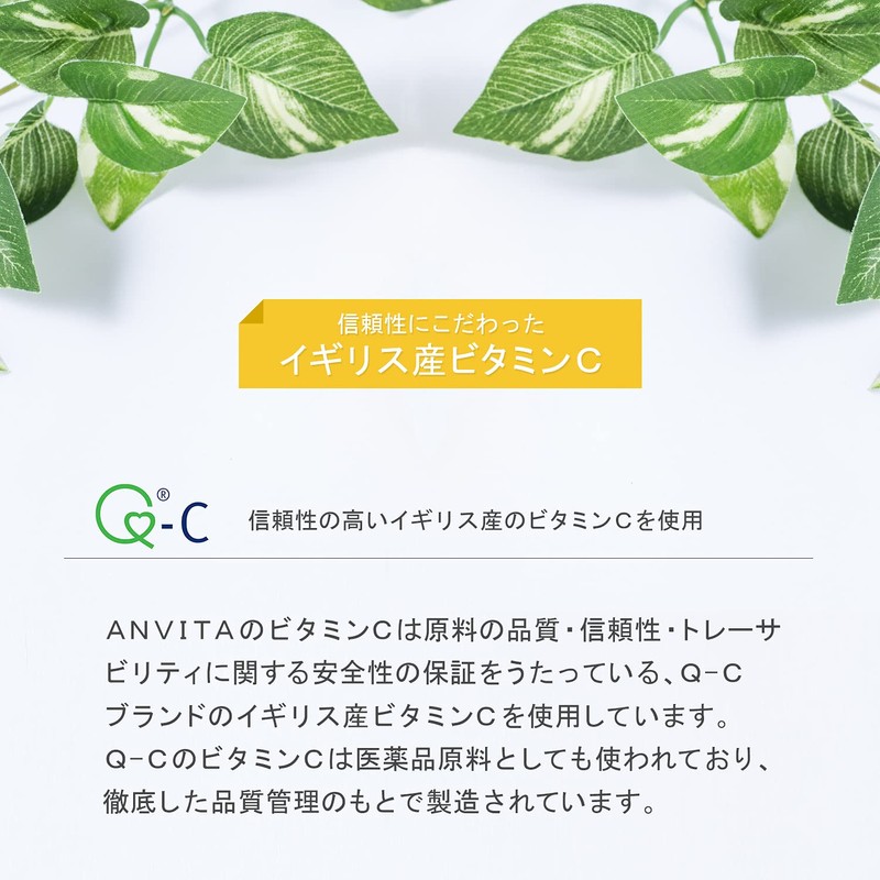 アンビータ ビタミンC 1000㎎ 62日分（124粒）イギリス産Q®-C 国内製造 着色料・香料・保存料無添加 ANVITA