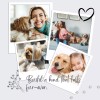 CE Compass Pet Hair Fur Grooming Comb Dog Cat Shedding