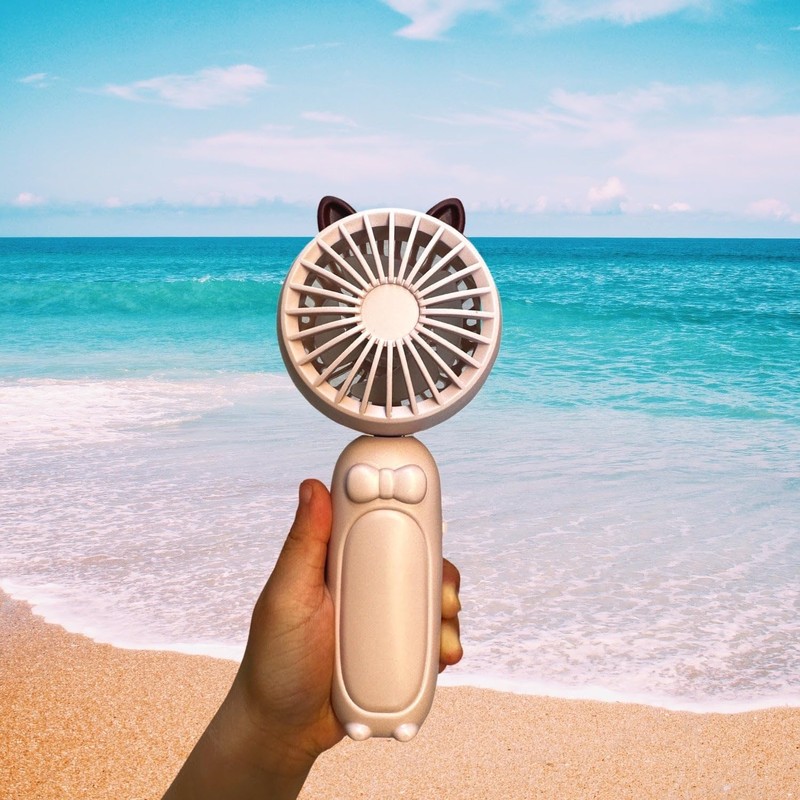 allydrew Mini Portable Handheld and Desktop Rechargeable USB Fan, Pink