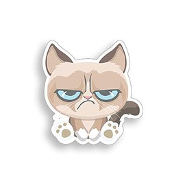 Angry Cat Sticker Evil Grumpy Kitten Cup Laptop Car Vehicle Window Bumper Vinyl Decal Graphic