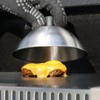 bremermann Burger Cover Set // Each 16 cm // Grill
