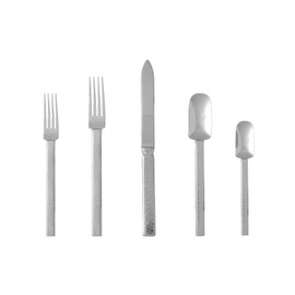 Fortessa Acqua 18/10 Stainless Steel Flatware, 5 Piece Place Setting, Service for 1