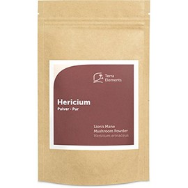 Terra Elements Organic Hericium Powder 100 g I Hedgehog Spiked Beard I Lion's Mane I 100% Pure I Vegan I Raw Food