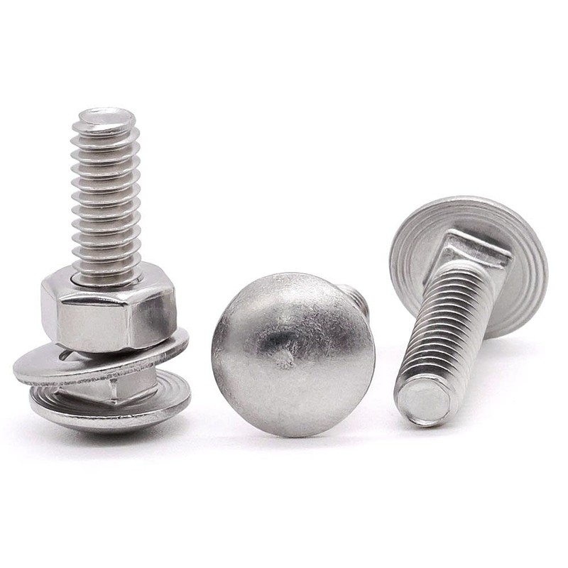 Glvaner (10 Sets) 1/4-20 x 1 Stainless Steel Carriage Bolts