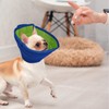 kissral Collar for Dogs, Adjustable Protective Collar, Lightweight Cone Collars,