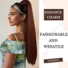 YAYNO 1 Stück Zopf Extension Ponytail Langer Glatter Pferdeschwanz Zopf