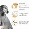 ROYAL CANIN Lata Wet All Dogs Mature Adult, 385g (El