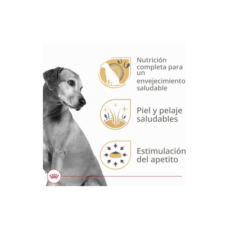 ROYAL CANIN Lata Wet All Dogs Mature Adult, 385g (El