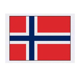 'Norway Flag' Temporary Tattoo - Water Resistant, Skin-Safe, Non-Toxic Transfer (TO00030685)