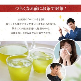 お茶の山麓園 べにふうき茶 粉末 パウダー 50g 緑茶 メチル化カテキン 豊富 鹿児島産 紅ふうき茶