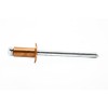 4mm x 12mm Copper Blind Pop Rivet Dome Head Steel