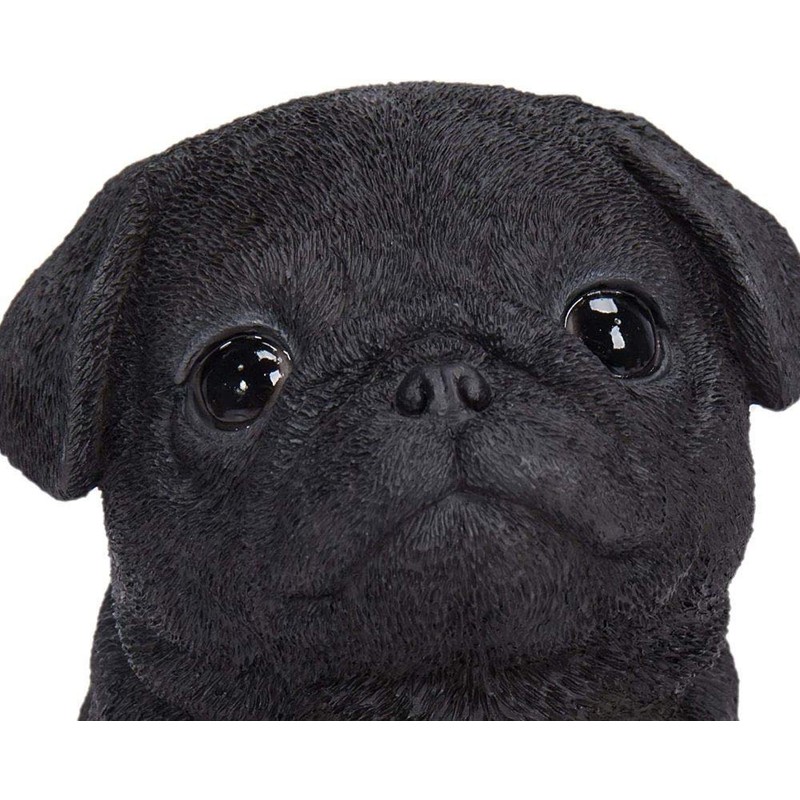 Vivid Arts Pet Pals Black Pug Puppy | Resin Home