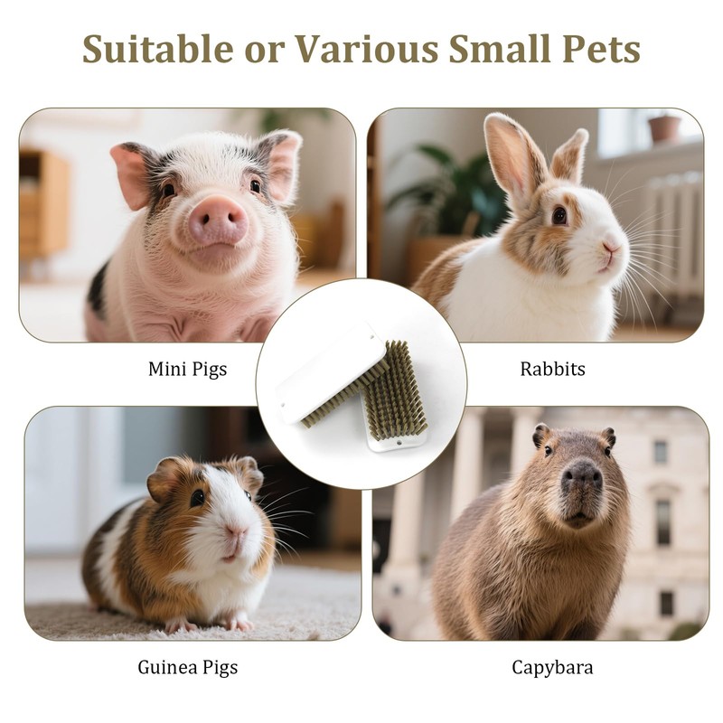 2 PCS Pig Toy, Pig Self-Grooming Scratch Brush with Hanging