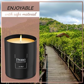Relaxd Premium Sandalwood & Musk Scented Natural Soy Wax Candle (Prana), Large, Long Lasting Aromatherapy Essential Oil Candles