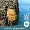 Natural Sponges with Cord & Glass Pendant - Unbleached Mediterranean