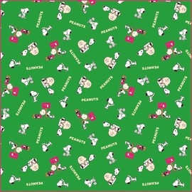 Ken Onishi Peanuts Lunch Series Lunch Cloth, Green LETTER SLK-702