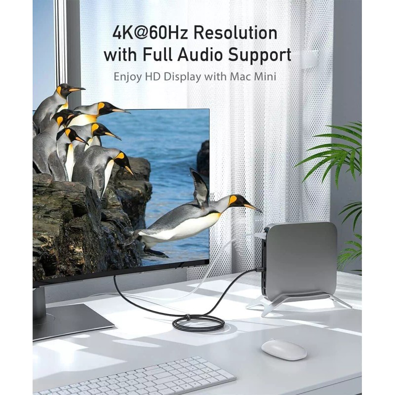 Uni USB-C to DisplayPort Cable 4K 60Hz 6' Long -