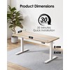 TIQLAB Height Adjustable Electric Standing Desk, 55 x 24 inch,