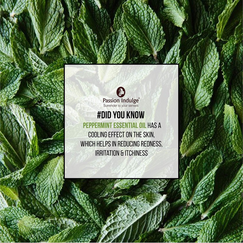 Passion Indulge Peppermint Essential Oil - 10 ml 100% Pure