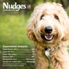 Blue Buffalo Nudges Jerky Cuts Natural Dog Treats, Chicken, 16oz
