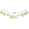 We Are One with Crown Gold Glitter Banner for Twins'