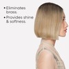 L'Oréal Professionnel Paris Champú Neutralizador Para pelo gris, blanco o