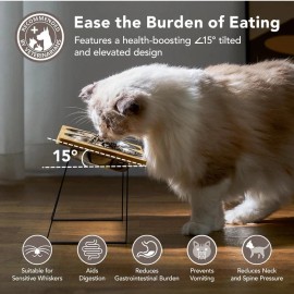 Smartoo Elevated pet bowls For Cats And Dogs by Smartoo With 2 Height Adjustments