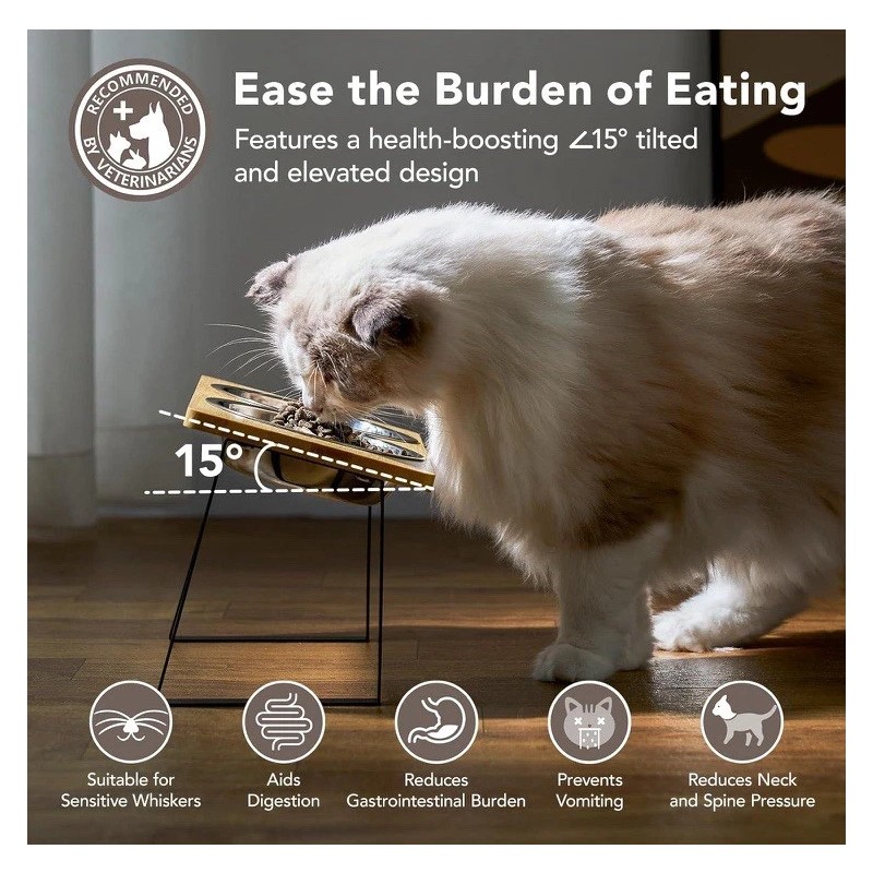 Smartoo Elevated pet bowls For Cats And Dogs by Smartoo