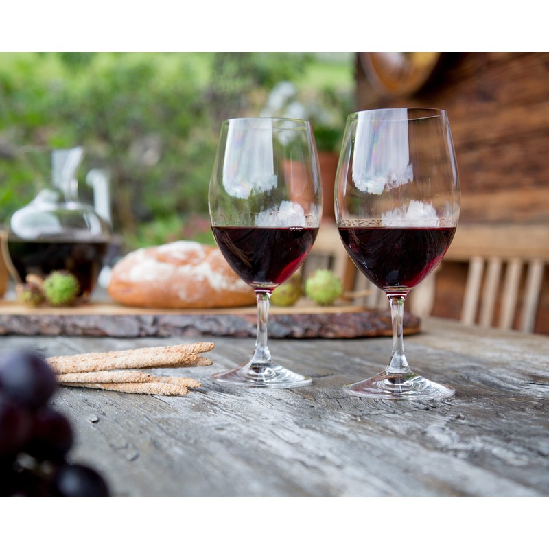 Riedel Ouverture Magnum