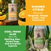 Dr. Squatch Desodorante natural para hombres, sin aluminio, Summer Citrus