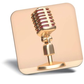 Destination Vinyl ltd Fridge Magnet - Microphone Radio Broadcast 16319