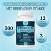 Probiotika Darmbakterien Kapseln Hochdosiert - 300 Mrd. KBE - 12