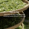Osulloc Polvo de matcha premium OSULLOC (sin azúcar), té verde