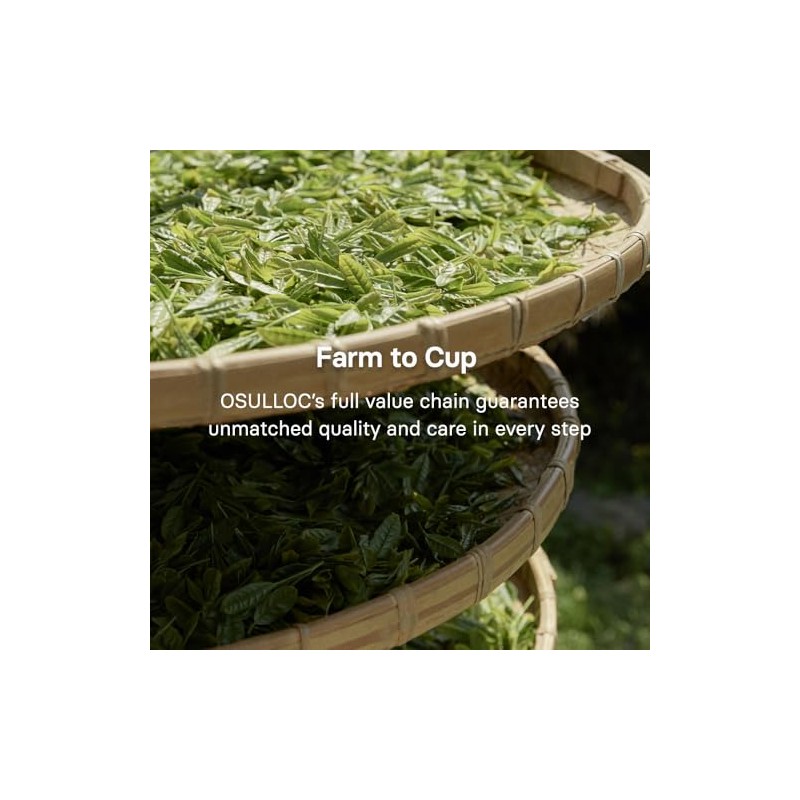Osulloc Polvo de matcha premium OSULLOC (sin azúcar), té verde