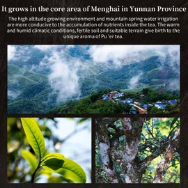 XIXICHA Pu-erh Tea Loose Leaf 250g/8.81oz Ripe Puerh Chinese Tea Yunnan Ancient Tree Puer Loose Leaf Black Tea 普洱茶 熟茶 宫廷普洱茶 云南勐海普洱茶