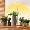 yadoker Plant Grow Light for Indoor Plant,Bamboo Mini LED Grow
