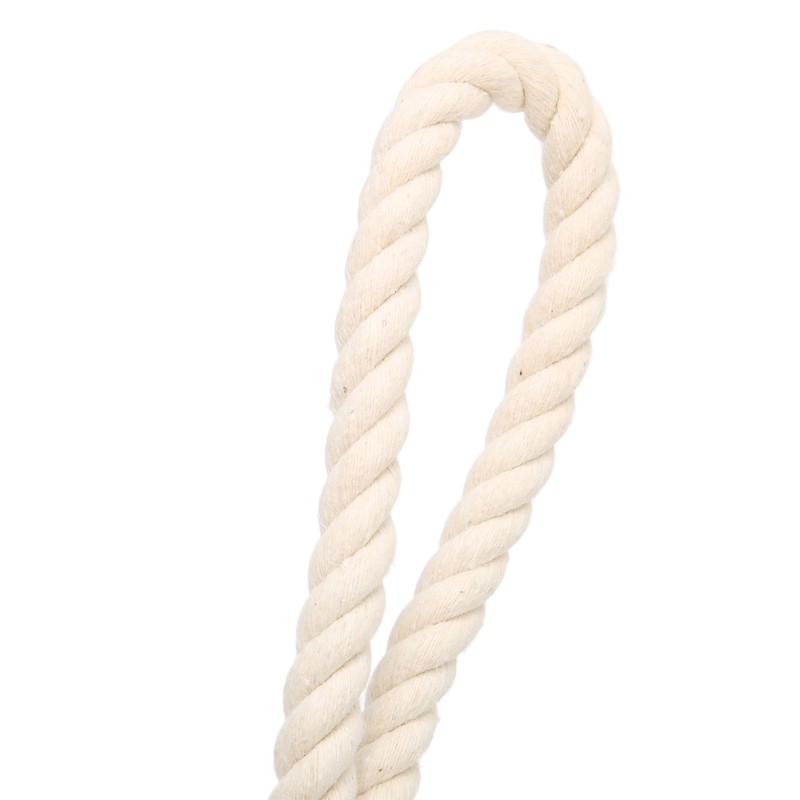 Dog Tire Chewing Toy Bite Resistant Treat Dispensing Rubber Aggressive