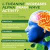 160mg L-Theanine + 80mg Caffeine Chews – Mint Matcha Flavour,