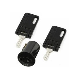 (Black) Replacement Lock Core Kit Includes 2 Keys for A-Zum ZG0025