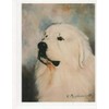 Ruth Maystead Great Pyrenees Head Study Note Card Set 12