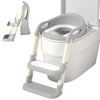 Potty Training Seat with Ladder Adjustable Foldable Toilet with Splash