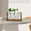 Fenteer Terrarium Planter Hydroponics Plant Holder with 3 Heart Shaped
