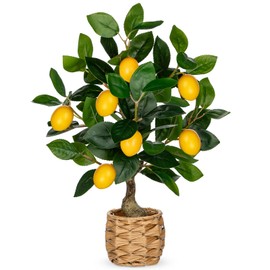 Oairse Artificial Potted Plants 17.3 inches Small Fake Lemon Tree Artificial Lemons Citrus Tree with Woven Pot Faux Plants Indoor Lemon Decorations for Home,Office, Living Room Table, Desk