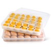 HANSGO Deviled Egg Carrier with Lid,2 Pack Deviled Egg Containers