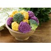 NIKA SEEDS - Seeds Vegetable Cauliflower Cabbage Mix - 200