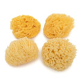 Natural Ocean Sponges | Soft Sea Yellow Bath Sponges for Newborn | Facial Cleansing Sponge – Artist – Craft sponges Set - (6,5-8,5cm) – Pack of 4 pcs