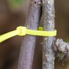 Konya Shoji 01281190 Cable Tie, Yellow, 5.9 x Width 0.14