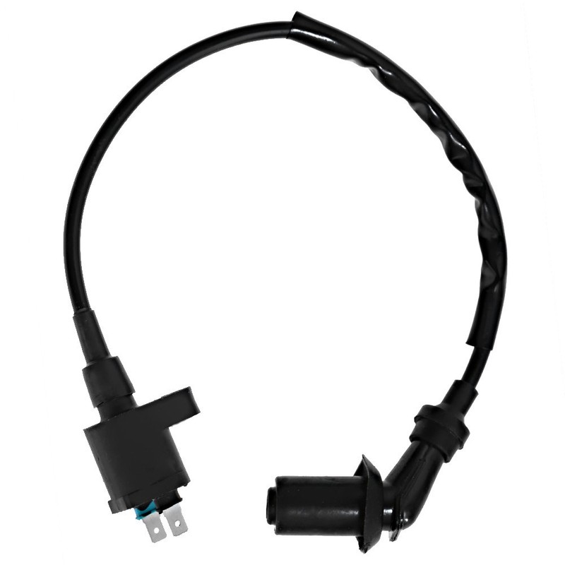 Saihisday Ignition Coil + CDI Box for Honda TRX250X FourTrax