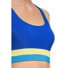 Beach Riot Women's Standard Mackenzie Top, Riviera Color-Block